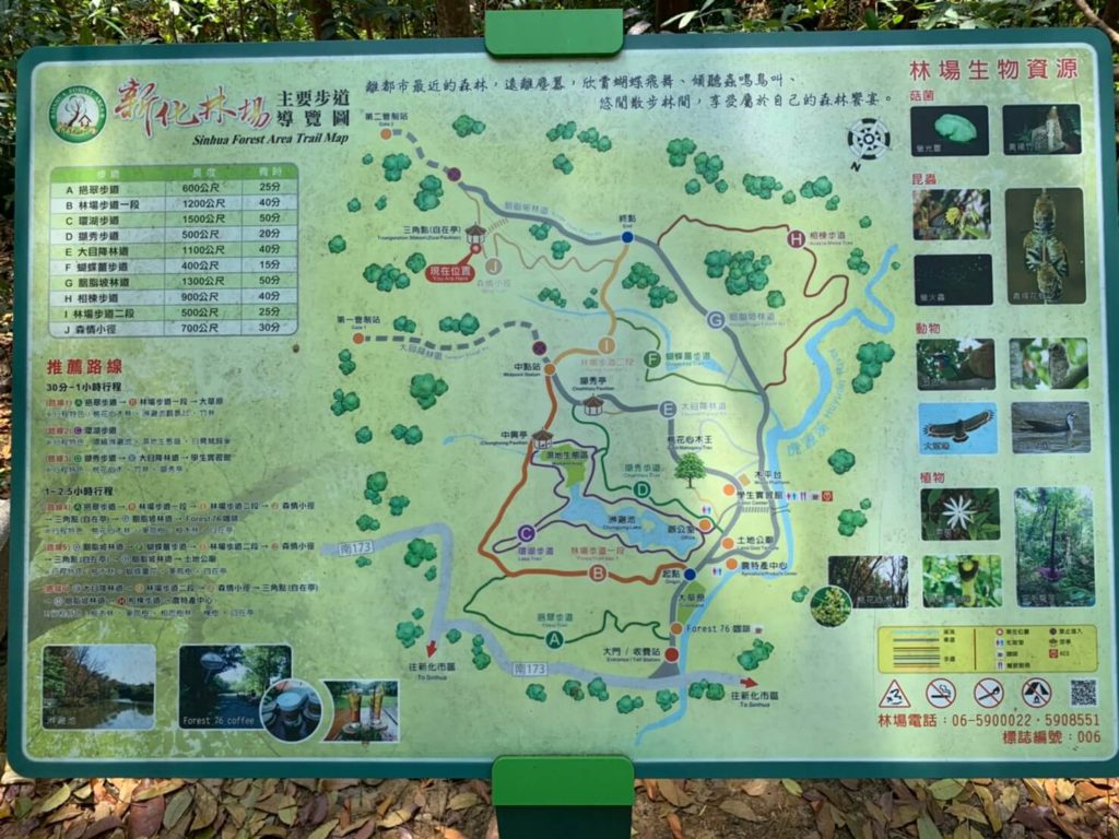 台南新化林場地圖